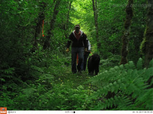 hiking